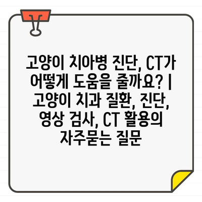 고양이 치아병 진단, CT가 어떻게 도움을 줄까요? | 고양이 치과 질환, 진단, 영상 검사, CT 활용