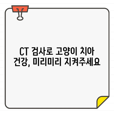 고양이 치아 문제, 이젠 CT로 정확하게 진단하세요! | 동물 치과, CT 활용, 고양이 치아 건강