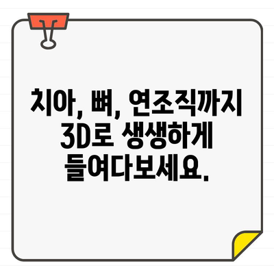 CT 스캐너 기반 구강 구조 정밀 분석| 치아, 뼈, 연조직까지 | 구강 건강, 3D 영상, 진단, 치료 계획