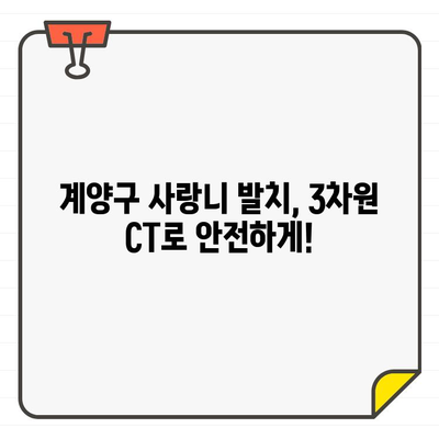 계양구 치과의 3차원 CT 진단| 사랑니 발치, 안전하고 정확하게 결정하기 | 사랑니 발치, 3차원 CT, 계양구 치과, 안전, 정확