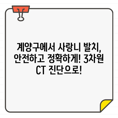 계양구 치과의 3차원 CT 진단| 사랑니 발치, 안전하고 정확하게 결정하기 | 사랑니 발치, 3차원 CT, 계양구 치과, 안전, 정확