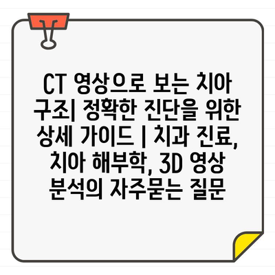 CT 영상으로 보는 치아 구조| 정확한 진단을 위한 상세 가이드 | 치과 진료, 치아 해부학, 3D 영상 분석