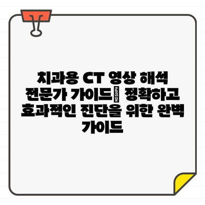 치과용 CT 영상 해석 전문가 가이드| 정확하고 효과적인 진단을 위한 완벽 가이드 | 치과용 CT, 영상 해석, 진단, 임플란트, 치아, 턱, 3D 영상