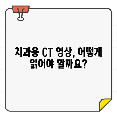 치과용 CT 영상 해석 전문가 가이드| 정확하고 효과적인 진단을 위한 완벽 가이드 | 치과용 CT, 영상 해석, 진단, 임플란트, 치아, 턱, 3D 영상