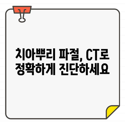 치아뿌리 파절 진단, CT 활용의 효과적인 방법 | 치과, 영상진단, 치료