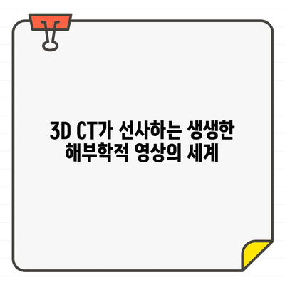 3D CT| 엑스레이를 능가하는 상세 영상 진단 | 의료 영상 기술의 발전, 3D CT의 장점과 활용 분야