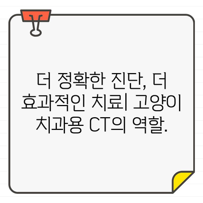 고양이 치과 질환 진단의 새로운 지평, 치과용 CT 활용 | 고양이 치과, CT 검사, 진단, 치료