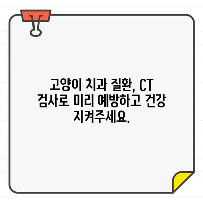 고양이 치과 질환 진단의 새로운 지평, 치과용 CT 활용 | 고양이 치과, CT 검사, 진단, 치료