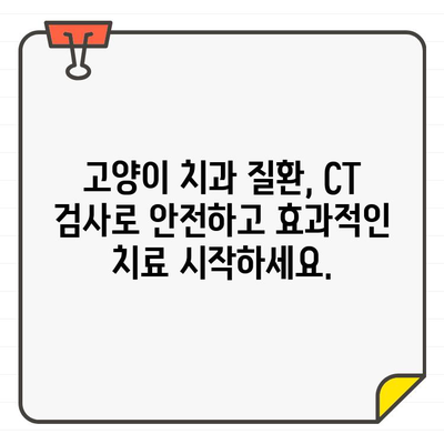 고양이 치과 질환 진단의 새로운 지평, 치과용 CT 활용 | 고양이 치과, CT 검사, 진단, 치료