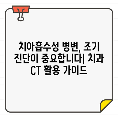 고양이 치아흡수성 병변 진단의 새로운 지평| 치과 CT 활용 가이드 | 치과 CT, 고양이 치아, 치아흡수성 병변, 진단