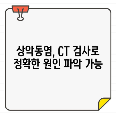 청량리 치과의 치과 CT 활용, 상악동염 해결의 지름길 | 상악동염, CT 검사, 청량리 치과