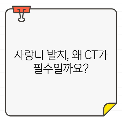 사랑니 발치, 왜 치과 CT가 중요할까요? | 사랑니, 발치, 치과 CT, 안전, 성공적인 발치