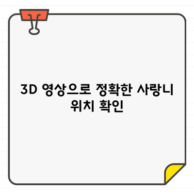 사랑니 발치 전 CT 촬영, 왜 필요할까요? | 용이동치과, 사랑니 발치, 안전한 발치, 3D 영상, 정확한 진단