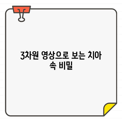 CT가 드러내는 치과의 비밀| 당신의 치아 건강을 위한 진단의 혁명 | 치과 진단, 3차원 영상, 정확한 진단, 치료 계획