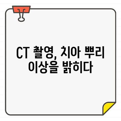 CT 촬영으로 발견된 치아 뿌리 이상| 원인과 치료법 | 치과, 치주 질환, 뿌리 흡수, 낭포