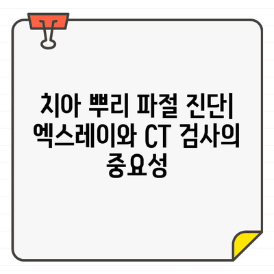 치아 뿌리 파절, CT 상 알파벳 J 모양 증상| 원인과 진단 | 치과, 엑스레이, 치료