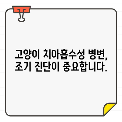 고양이 치아흡수성 병변, 치과 CT 진단으로 정확하게 진단하세요 | 로얄동물메디컬그룹, 치과 검진, 고양이 치아 건강