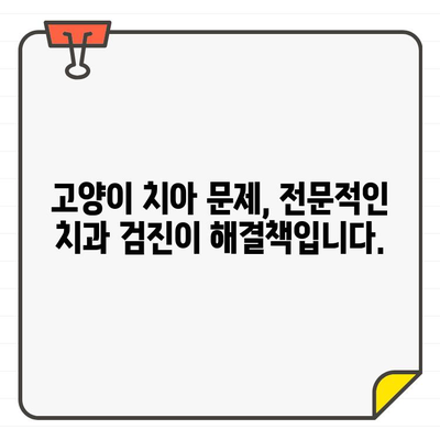 고양이 치아흡수성 병변, 치과 CT 진단으로 정확하게 진단하세요 | 로얄동물메디컬그룹, 치과 검진, 고양이 치아 건강