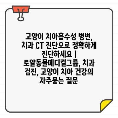 고양이 치아흡수성 병변, 치과 CT 진단으로 정확하게 진단하세요 | 로얄동물메디컬그룹, 치과 검진, 고양이 치아 건강