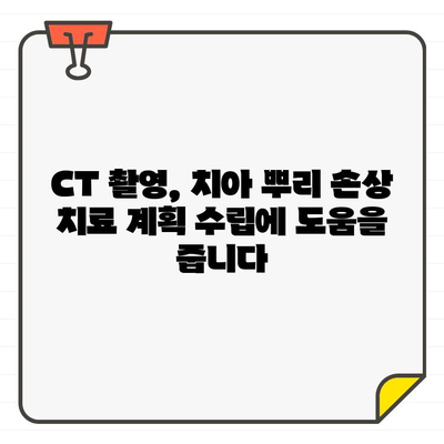 치아 뿌리 손상 진단, CT 촬영이 필수적인 이유 | 치과, 치아 뿌리, CT 검사, 진단