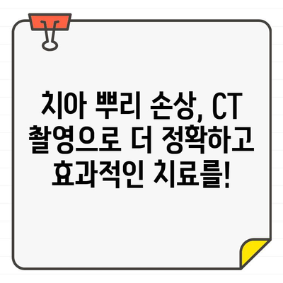 치아 뿌리 손상 진단, CT 촬영이 필수적인 이유 | 치과, 치아 뿌리, CT 검사, 진단