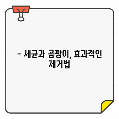 입주 욕실 청소, 위험 요소 5가지 & 안전하게 청소하는 방법 | 욕실 청소, 위험, 주의사항, 안전 팁