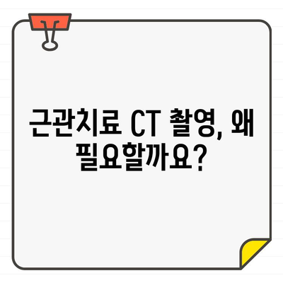 근관치료 초진 시, CT 스캔 주의사항 알아보기 | 치과, 근관치료,  CT 스캔, 주의사항