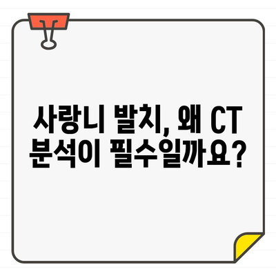 강남 국제구강악안면외과전문의치과 사랑니 발치, CT 분석이 중요한 이유 | 사랑니 발치, CT 검사, 안전한 발치