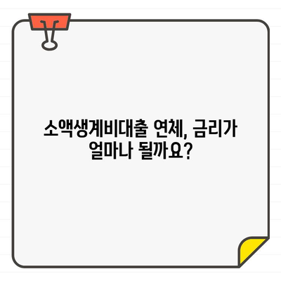 소액생계비대출 신청 후 연체, 금리는 얼마일까요? | 연체 금리 확인 방법, 대출 상환 팁