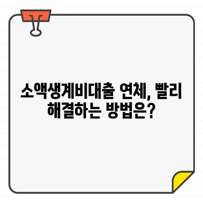 소액생계비대출 신청 후 연체, 금리는 얼마일까요? | 연체 금리 확인 방법, 대출 상환 팁