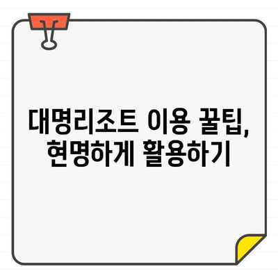 대명리조트 회원권 가격 정보 & 합리적인 이용 가이드 | 할인 혜택, 부대시설, 이용 꿀팁