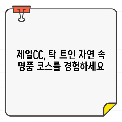 제일CC 골프회원권으로 수도권 최고의 골프 코스를 경험하세요! | 골프, 회원권, 수도권, 추천, 가격, 정보