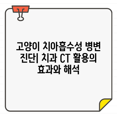 고양이 치아흡수성 병변 진단| 치과 CT 활용의 효과와 해석 | 고양이 치과 질환, 치아 흡수, 영상 진단