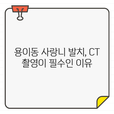 용이동 치과 사랑니 발치 전 CT 촬영| 꼭 필요한 이유 3가지 | 사랑니 발치, CT 촬영, 안전한 발치