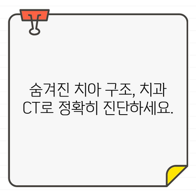 치과 CT가 밝히는 숨겨진 치과 구조| 당신의 치아 건강을 위한 필수 정보 | 치과 검진, 치아 구조, 3D 영상, 정확한 진단