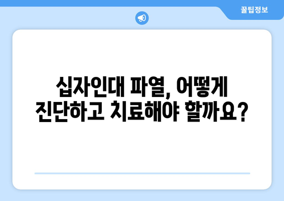 무릎 후방 및 전방 십자인대 파열, 완벽한 회복 위한 치료와 재활 운동 가이드 | 십자인대 파열, 수술, 재활, 운동, 회복