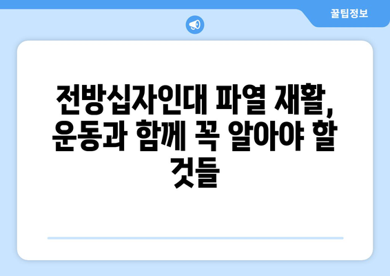 전방십자인대 파열, 재활 운동으로 다시 뛰어오르기 | 단계별 운동 가이드, 전문가 조언