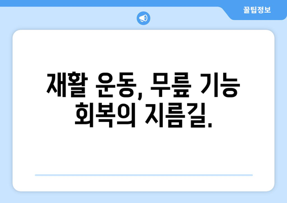 무릎 인공관절 수술 후 빠른 회복, 물리치료의 중요성 | 재활 운동, 전문 치료, 성공적인 회복