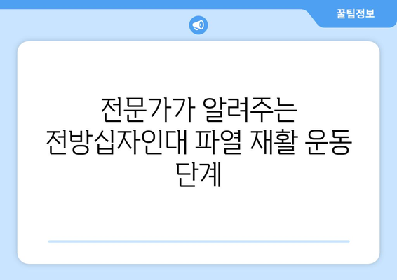 전방십자인대 파열, 재활 운동으로 다시 뛰어오르기 | 단계별 운동 가이드, 전문가 조언