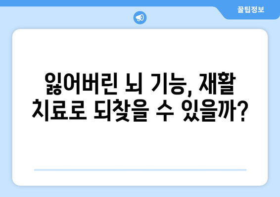 뇌 질환 회복, 재활이 열어주는 새로운 길| 잠재력과 전략 | 뇌졸중, 뇌손상, 재활 치료, 회복 과정, 뇌 기능 회복