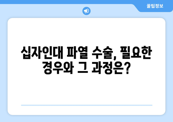 무릎 후방 및 전방 십자인대 파열, 완벽한 회복 위한 치료와 재활 운동 가이드 | 십자인대 파열, 수술, 재활, 운동, 회복