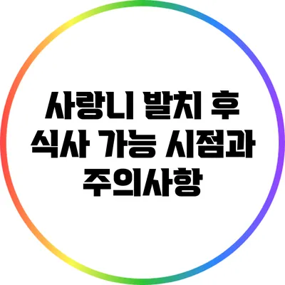 사랑니 발치 후 식사 가능 시점과 주의사항