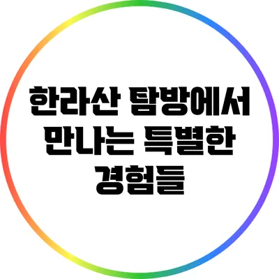 한라산 탐방에서 만나는 특별한 경험들