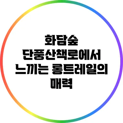 화담숲 단풍산책로에서 느끼는 롱트레일의 매력
