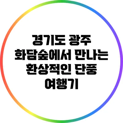 경기도 광주 화담숲에서 만나는 환상적인 단풍 여행기