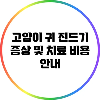 고양이 귀 진드기 증상 및 치료 비용 안내