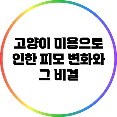 고양이 미용으로 인한 피모 변화와 그 비결