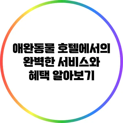 애완동물 호텔에서의 완벽한 서비스와 혜택 알아보기