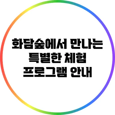화담숲에서 만나는 특별한 체험 프로그램 안내